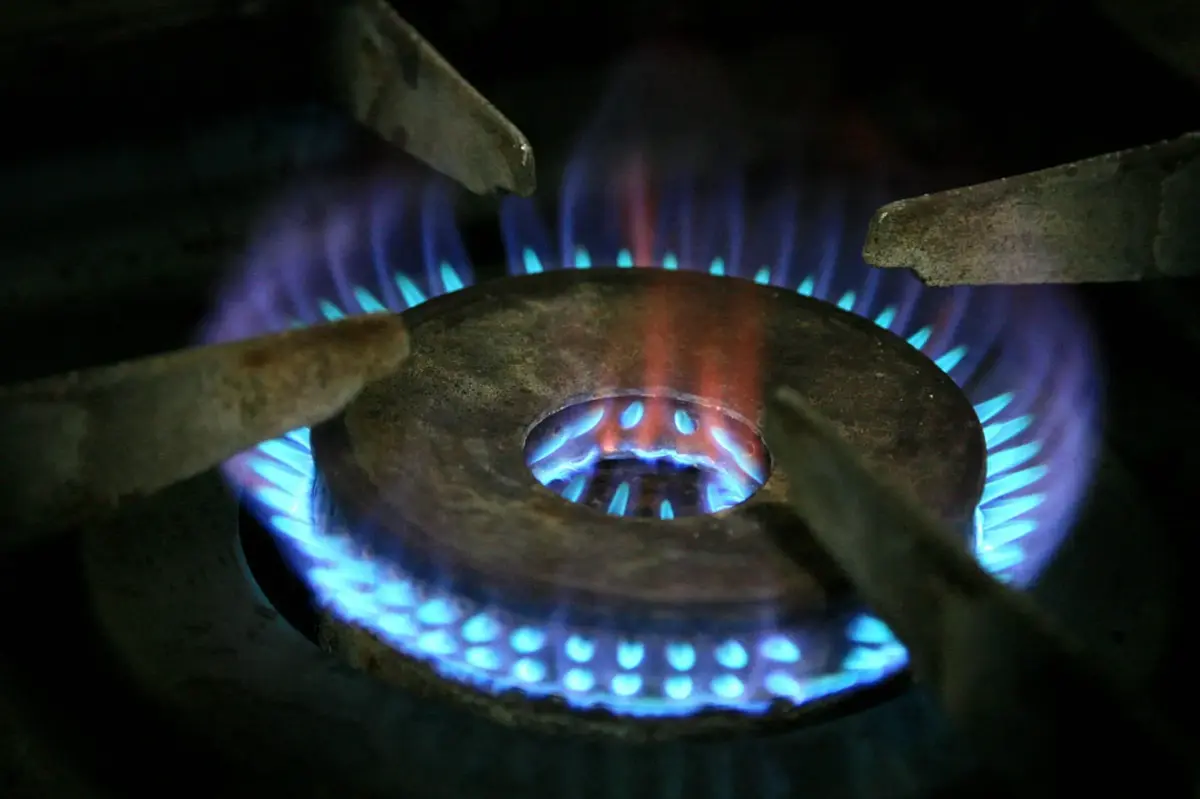 As candidaturas ao E-lar abriam esta terça-feira, 30 de setembro