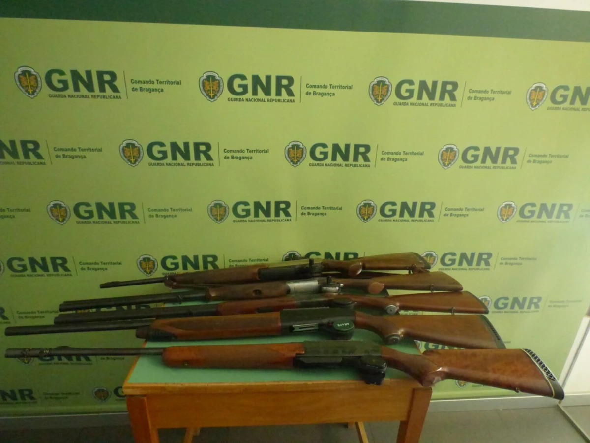 Militares apreenderam armas e constituíram arguido um jovem, em Bragança