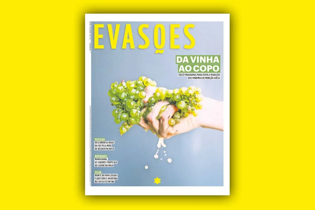 Imagem de contexto do artigo Evasões à sexta: da vinha ao copo, programas para viver a vindima