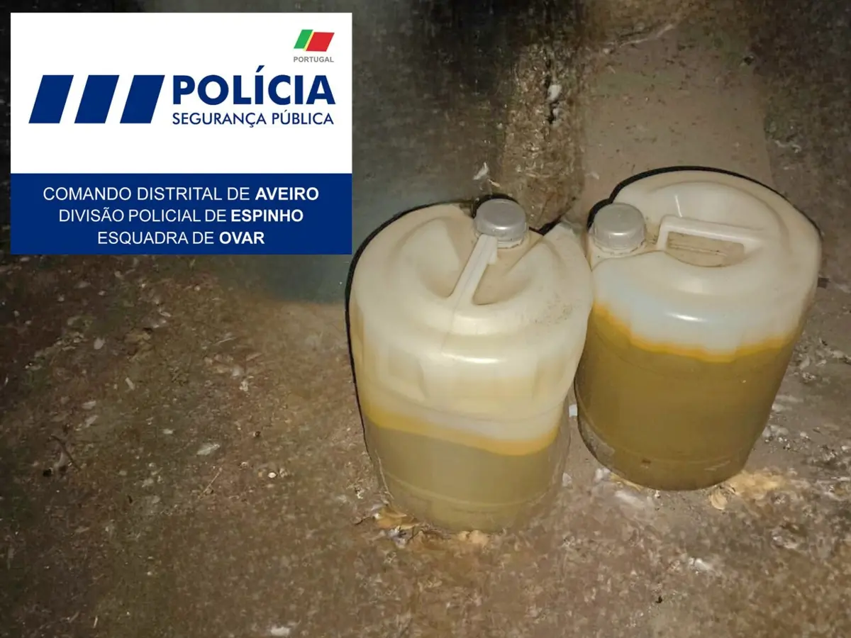 Os bidões, que estavam dissimulados entre ervas, foram apreendidos como medida cautelar