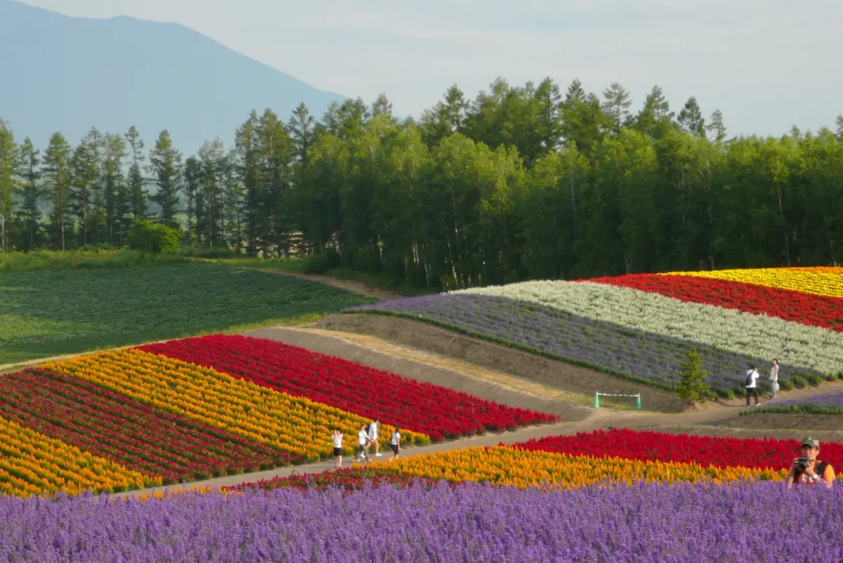 Jardins panorâmicos em Biei, na lha de Hokkaido