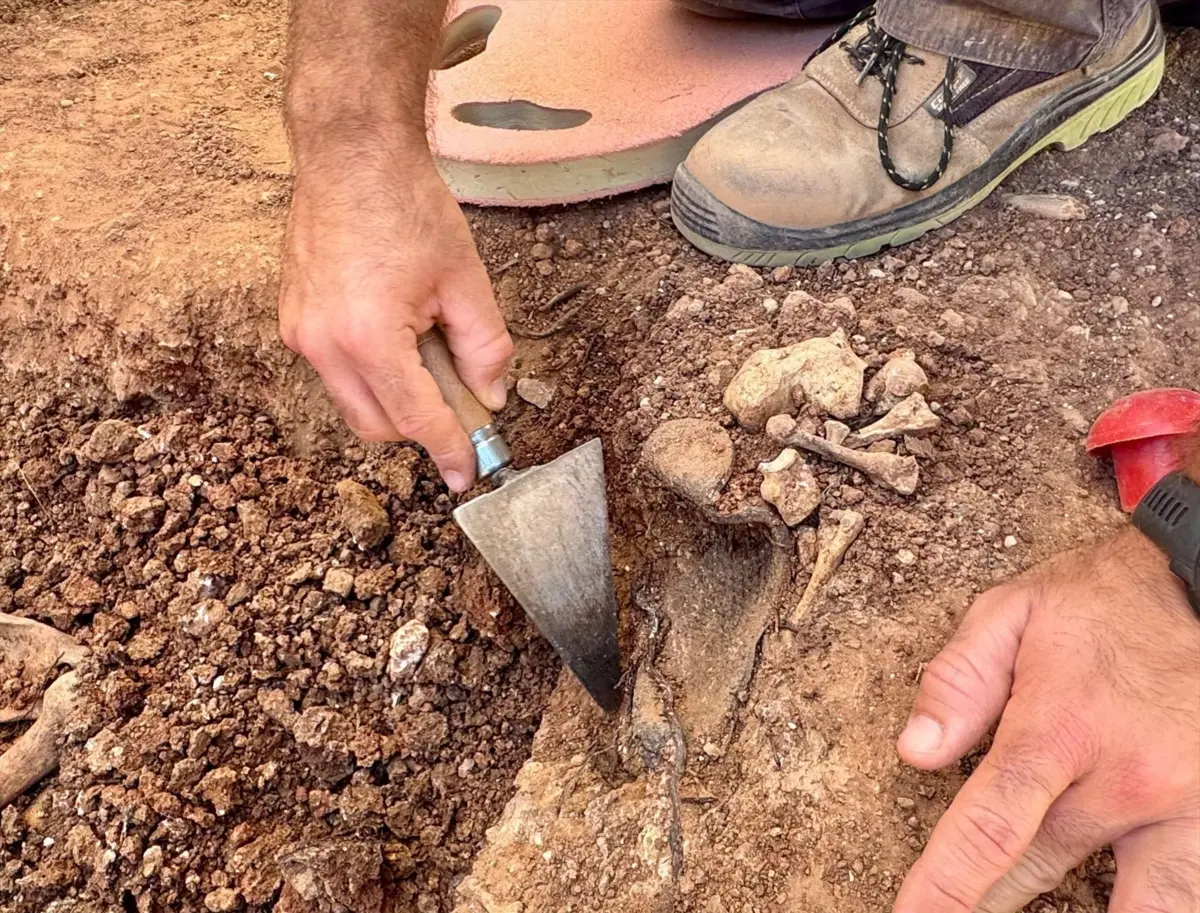 As mortes estão a ser atribuídas ao cartel de Santa Rosa de Lima