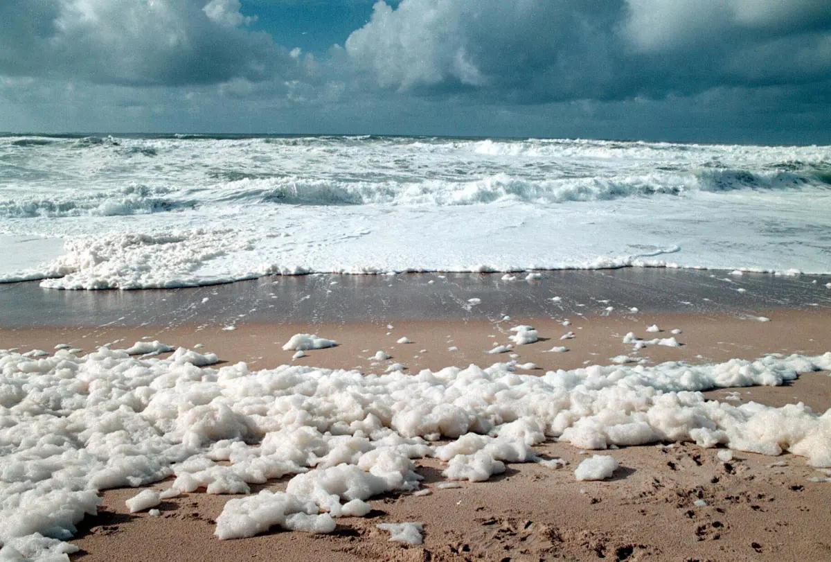 Imagem de contexto do artigo Convenção pelos oceanos limpos quer elevar a discussão a um patamar internacional