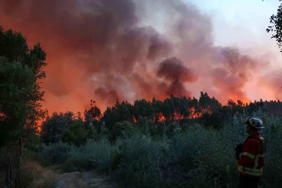Imagem de contexto do artigo Máquinas de rasto e meios aéreos ajudam na consolidação dos fogos em Pedrógão