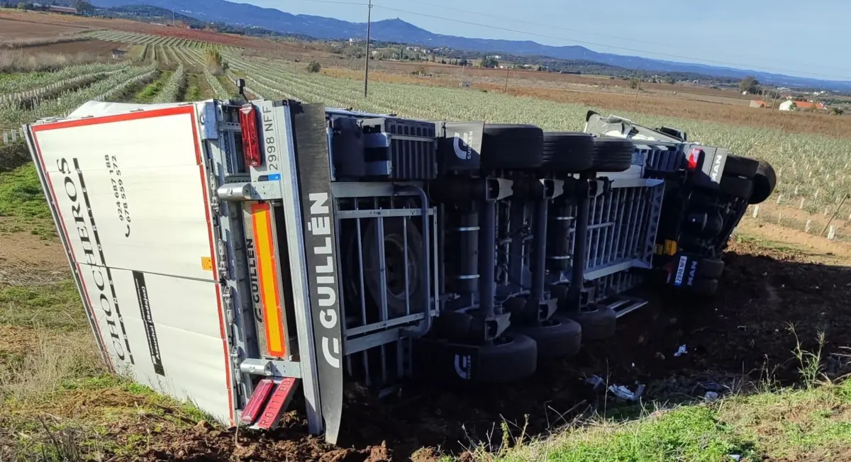Camião da colisão de Estremoz que provocou um morto