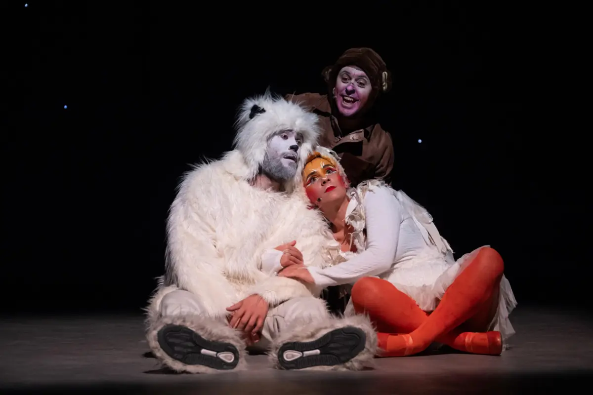 "Um urso no universo" para ver no Teatro Aberto, em Lisboa
