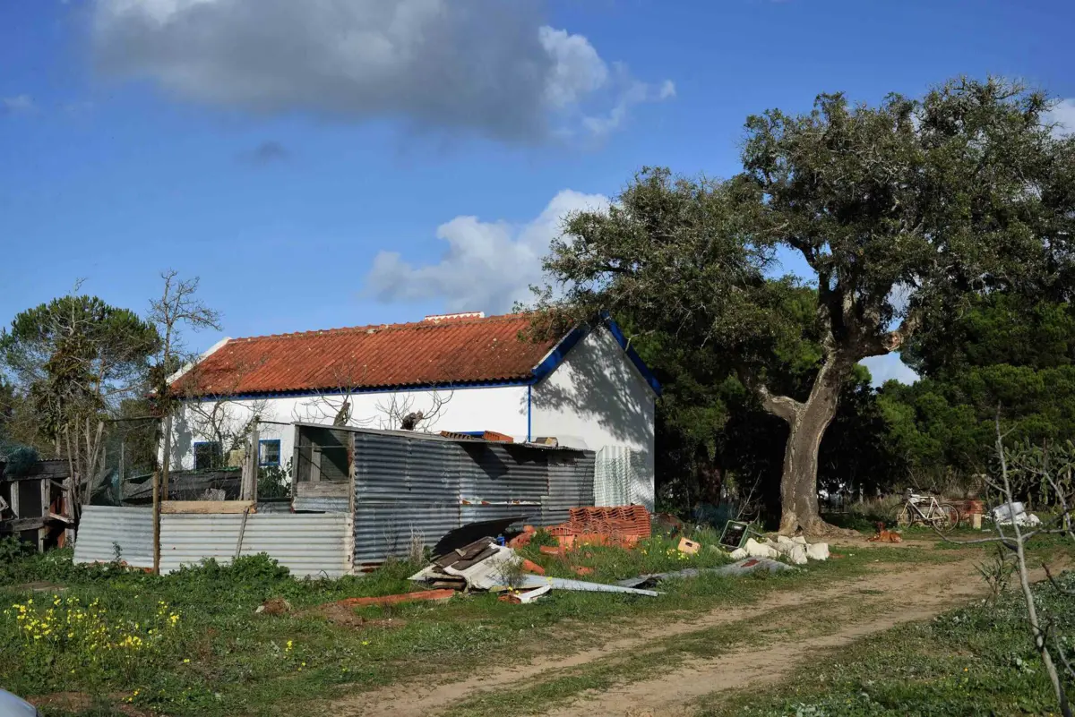 Crime foi cometido em casa de Vila Nova de Santo André, no concelho de Santiago do Cacém