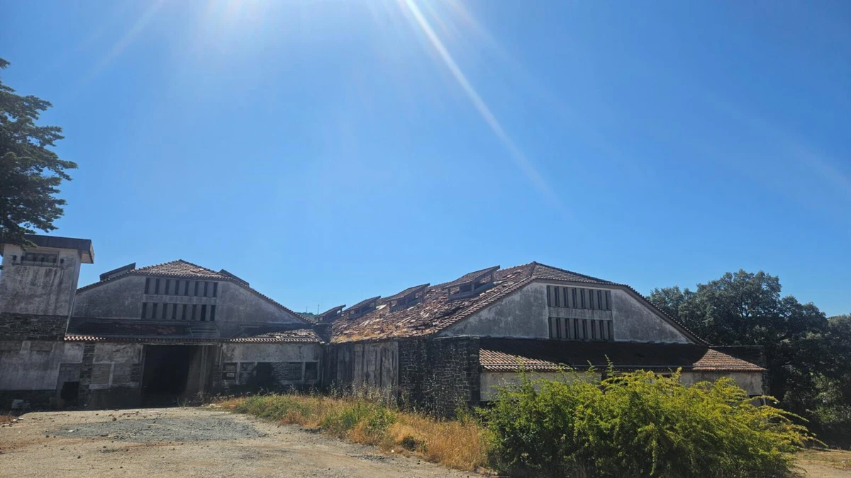 Equipamento vai nascer neste terreno, junto ao hospital