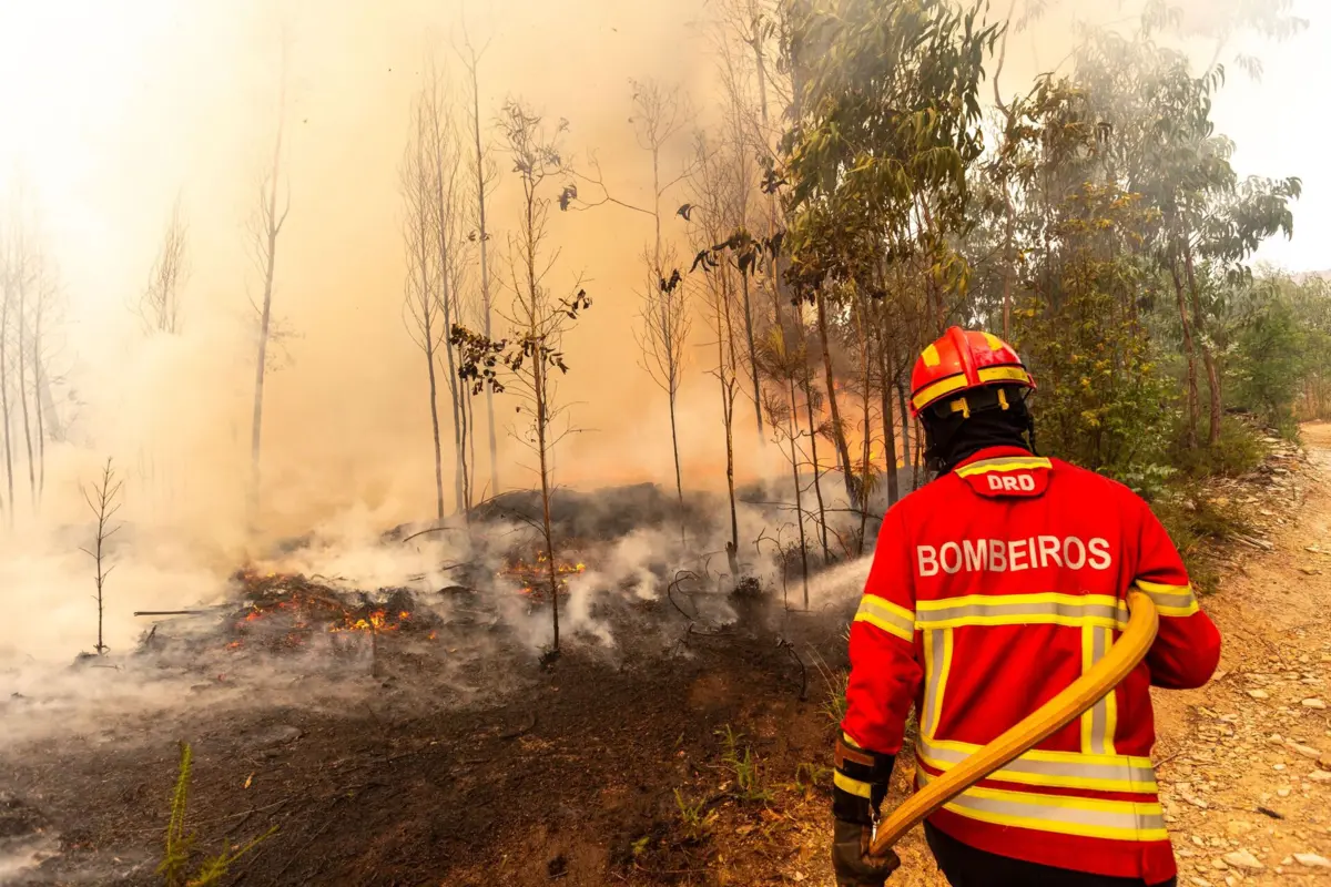 O fogo começou na freguesia de Capela, em Penafiel