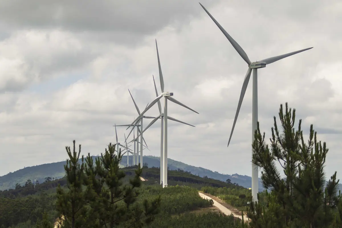 Fontes renováveis de energia evitaram a emissão de quatro milhões de toneladas de dióxido de carbono