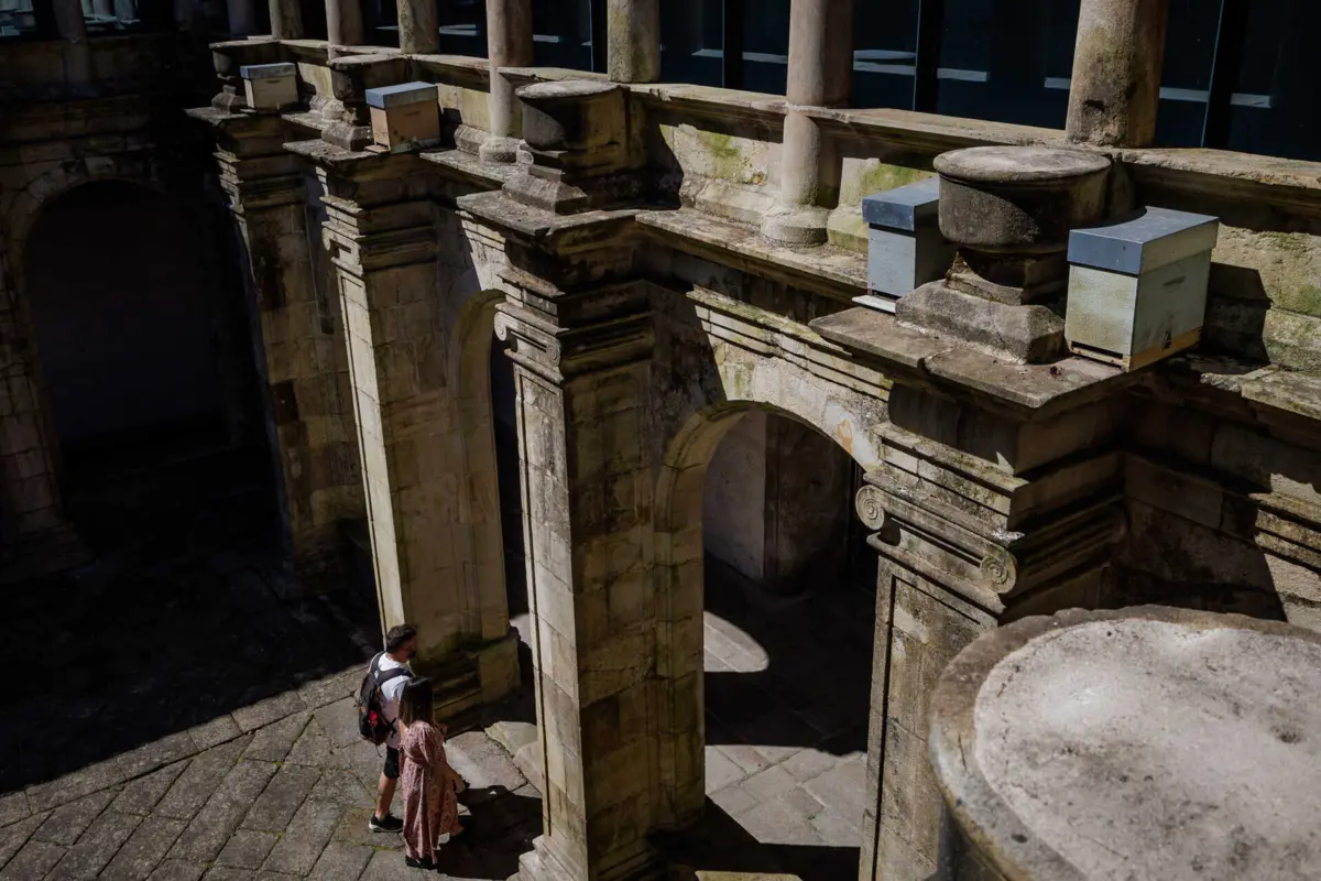 Colmeias estão colocadas numa zona alta dos claustros