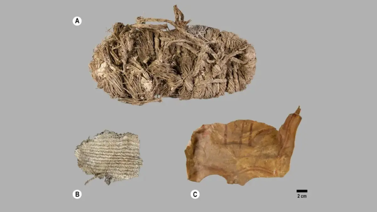 Imagem de contexto do artigo Sandália com 750 anos "escondida" num ninho de abutre