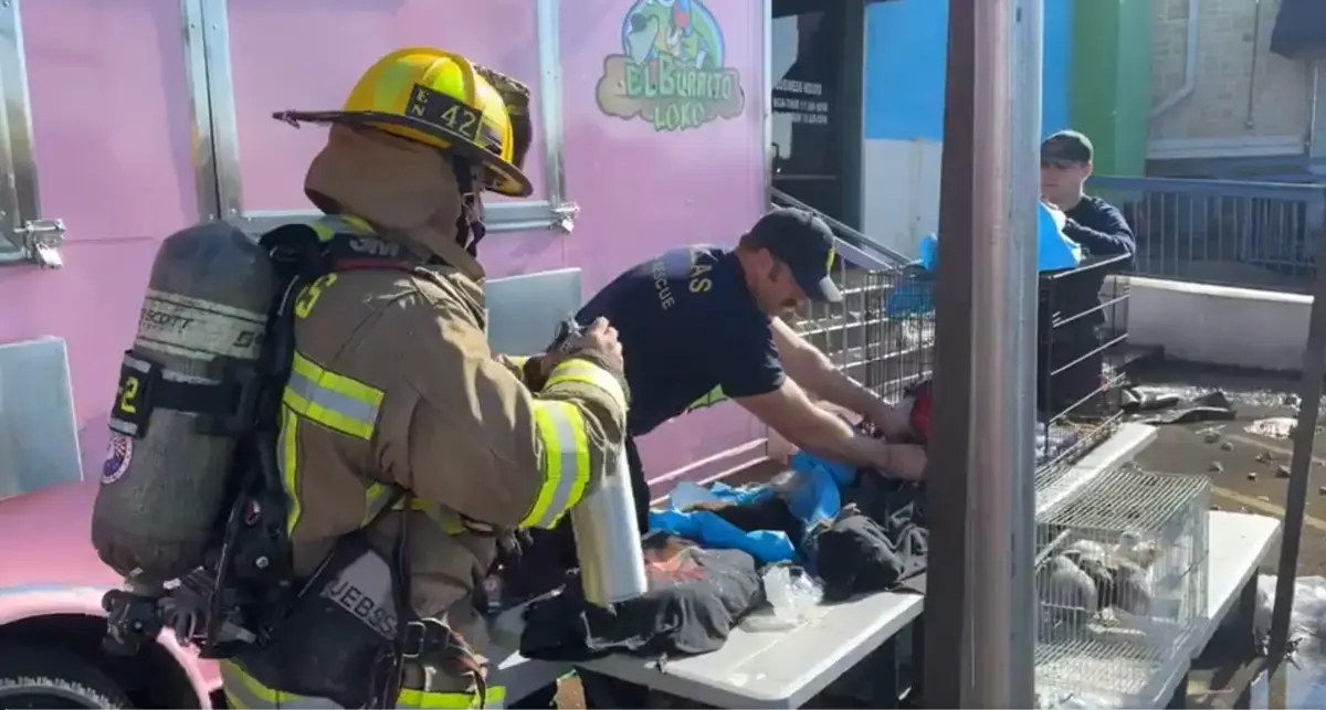 Imagem de contexto do artigo Incêndio em centro comercial nos EUA mata quase 580 animais