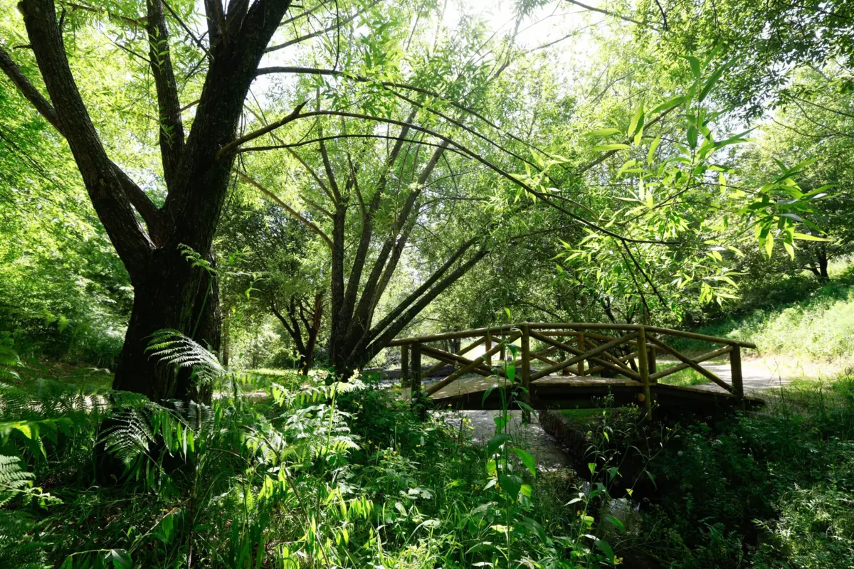Parque da Cidade, Guimarães