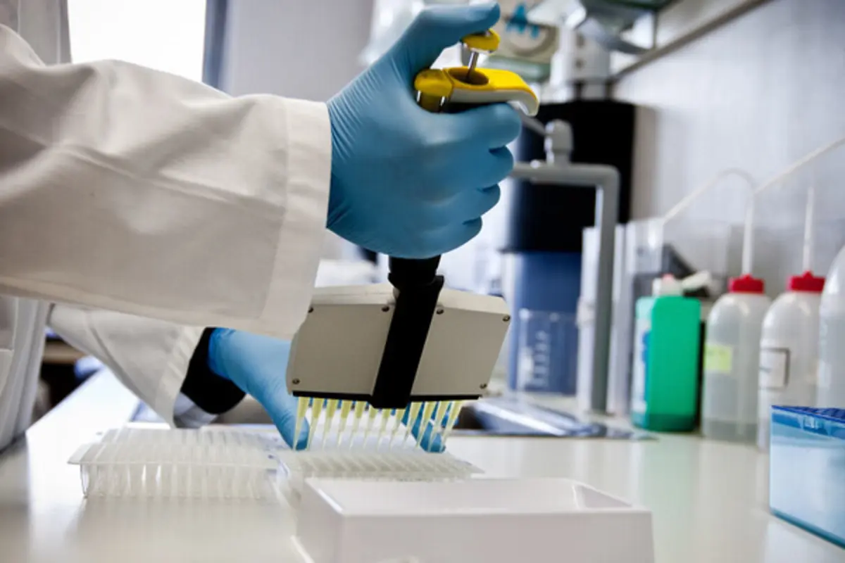 Dos 388 mil dadores de medula inscritos, apenas 19 mil (5%) têm idade inferior a 30 anos