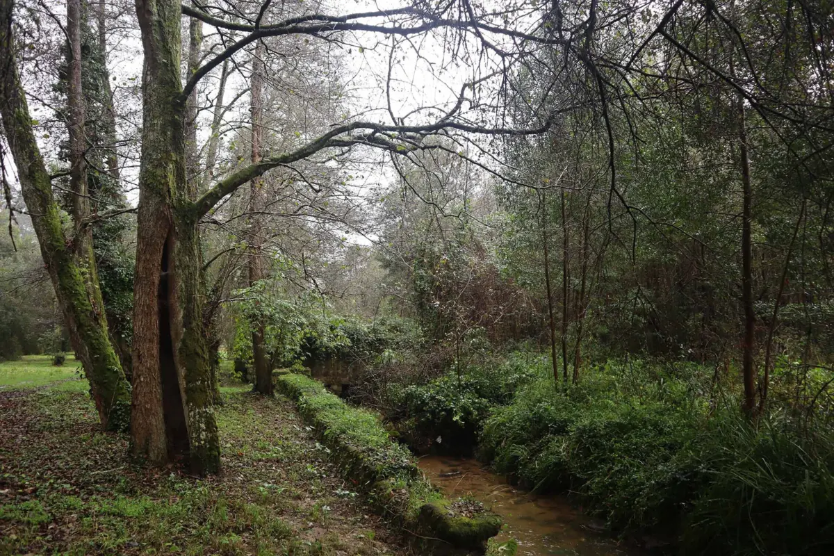 Plano prevê passagem do TGV no Parque da Picadela