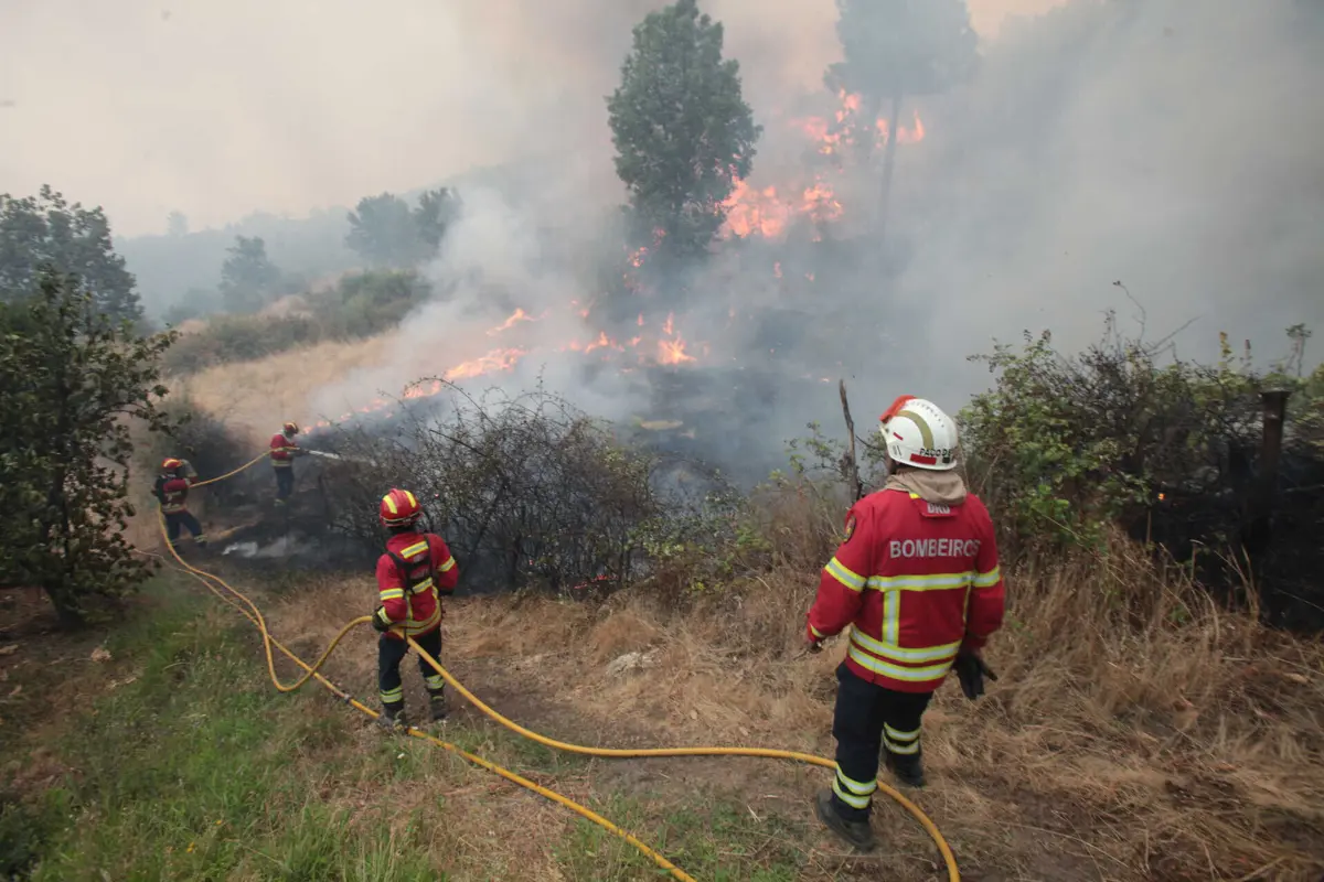 Imagem de contexto do artigo Fogo na Lousã entrou em fase de rescaldo