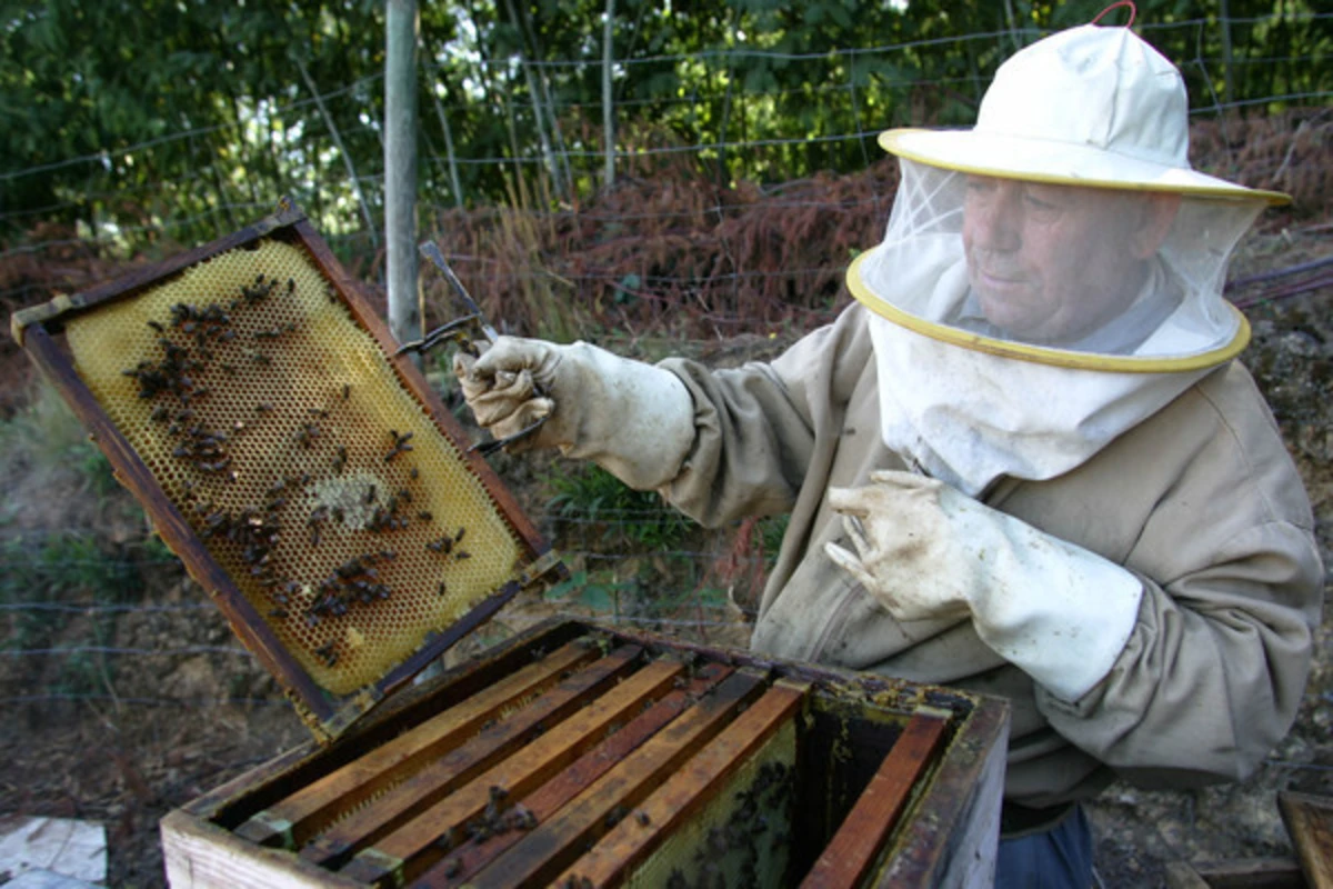 EBA pede fiscalização através de rede de laboratórios de referência