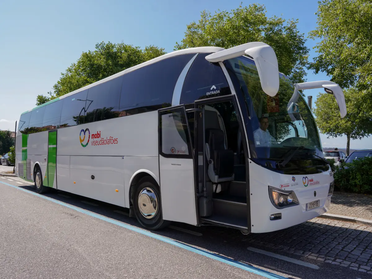 Rede tem autocarros modernos e com a mesma imagem