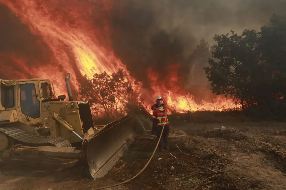 Imagem de contexto do artigo Incêndio deflagra numa zona de mato em Nelas. Chamas combatidas por 160 operacionais