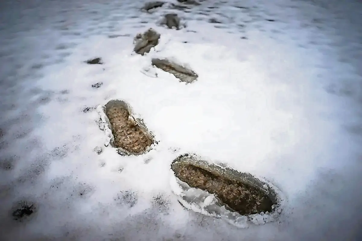 Pai levou a filha para abrigo de montanha, de difícil acesso, em Montalegre