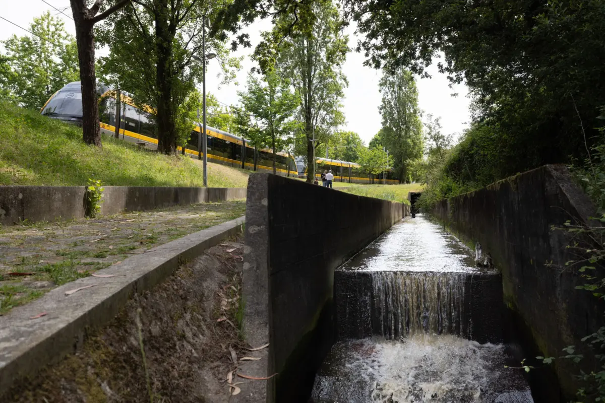 A ribeira da Riguinha é um dos pontos-chave do projeto porque desagua na praia de Matosinhos