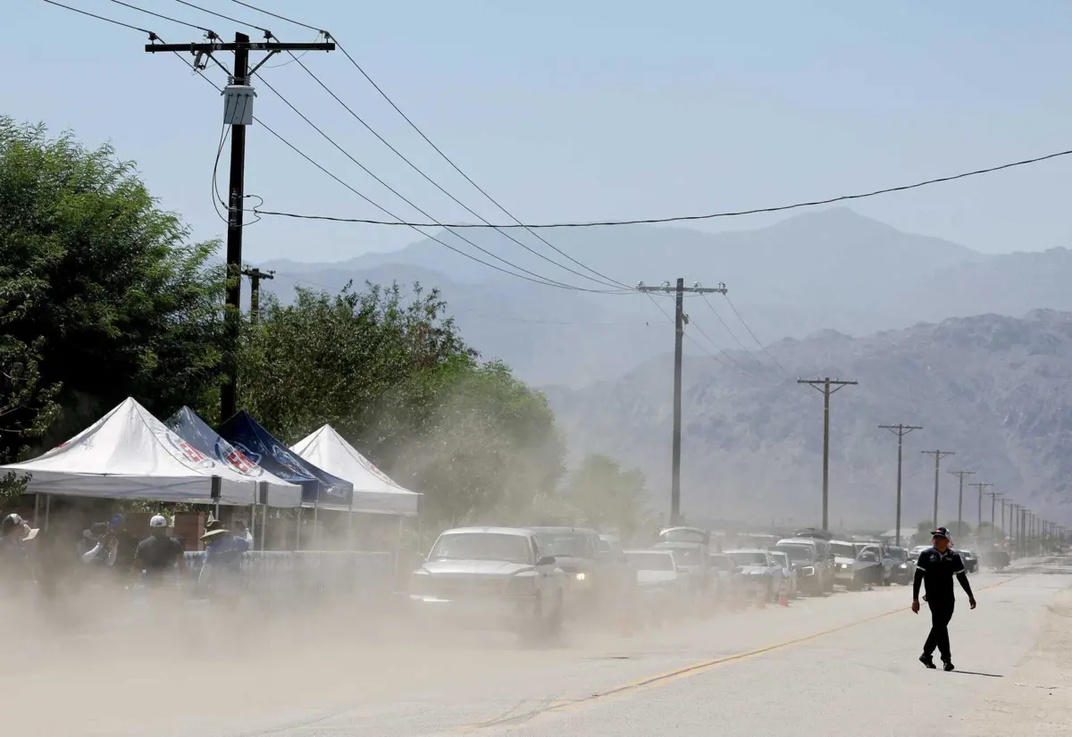 Ventos fortes derrubaram galhos de árvores e linhas de energia