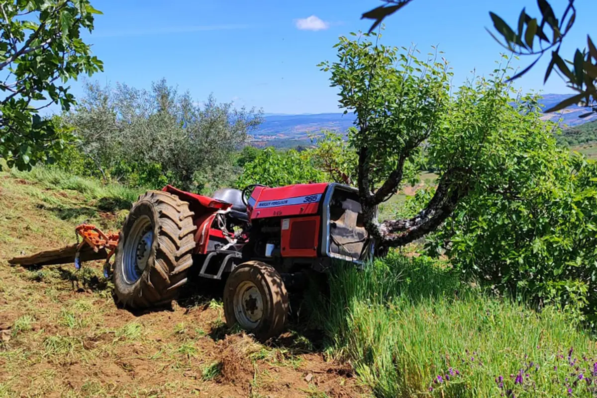 Autoridades começam a multar condutores sem habilitações a 1 de agosto de 2026
