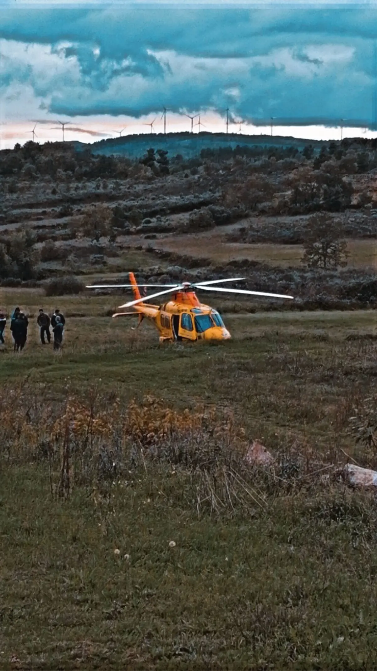 Imagem de contexto do artigo Morreu baleado por amigo num acidente de caça em Mêda