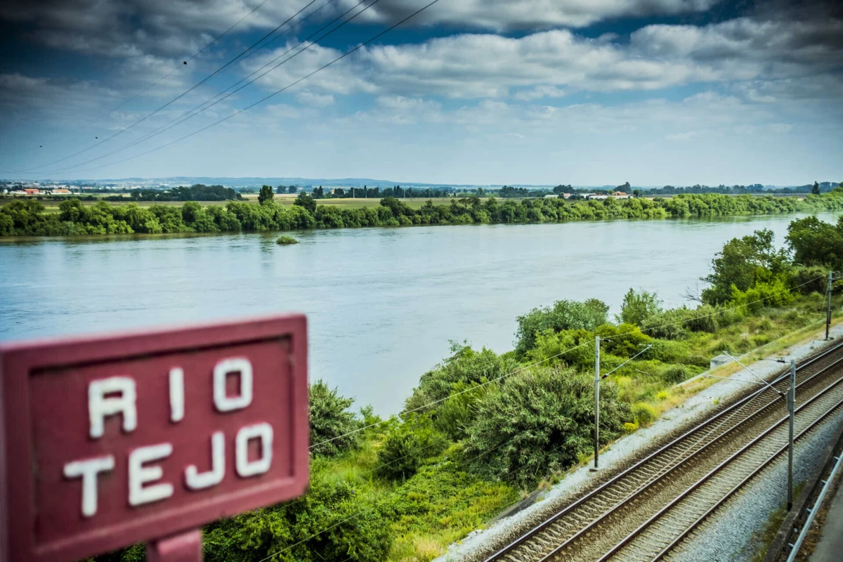Imagem de contexto do artigo Reprodução de peixe invasor do Tejo ameaça biodiversidade aquática