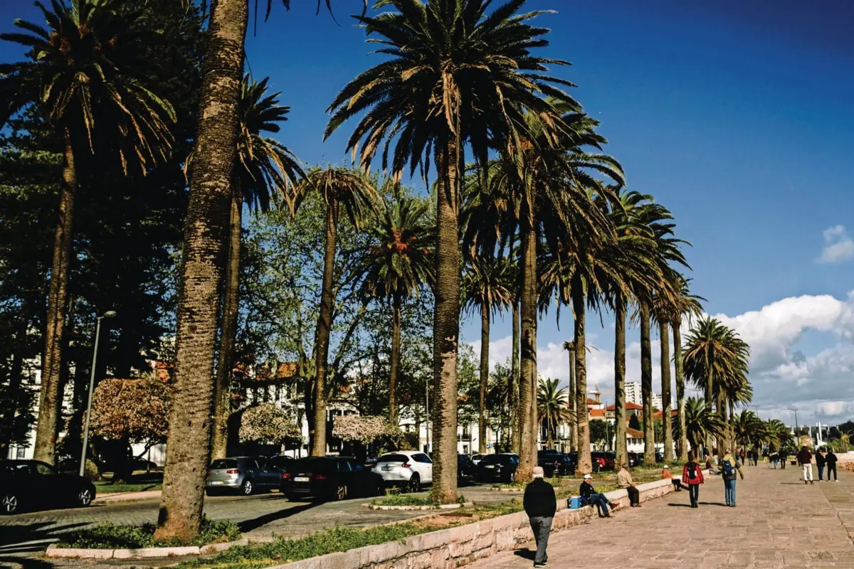 Prazo de execução da ORU da Foz Velha é de 10 anos, prorrogáveis por mais cinco