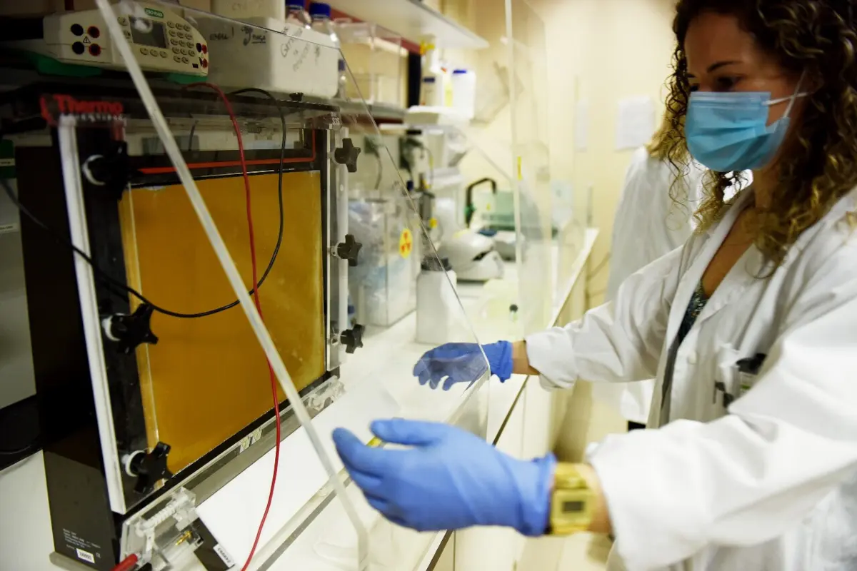 Parte das medidas já está em vigor, tendo até sido objeto de ajustamentos pelo atual Governo, no sentido do seu reforço ou alargamento