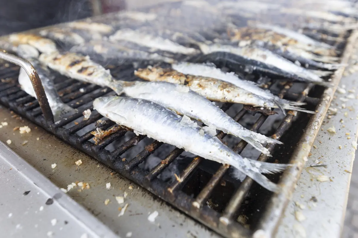 Imagem de contexto do artigo Homem indignado com a conta das sardinhas foi esfaqueado em tasquinha do São João de Braga
