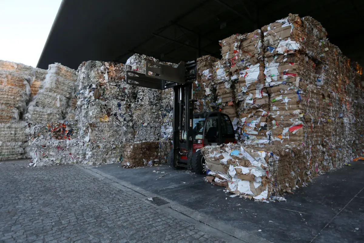 Quercus alertou para o problema das embalagens de papel descartáveis