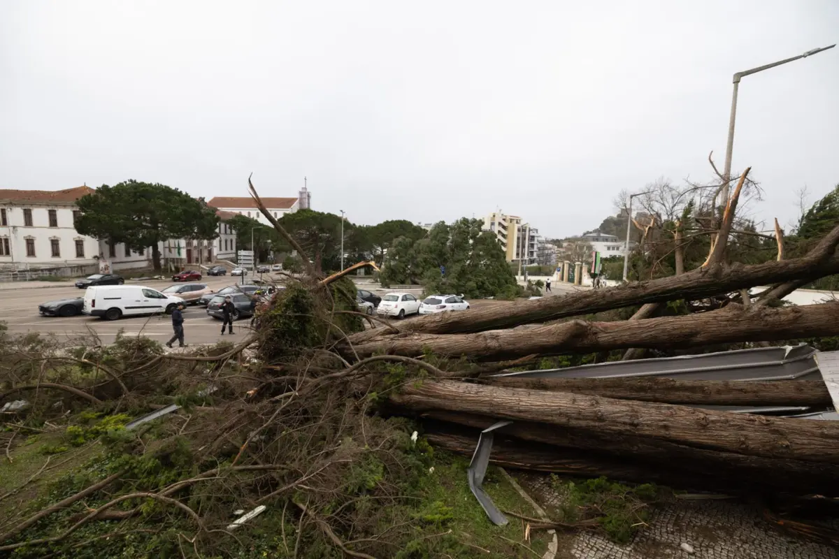 Estragos causados pela Depressão Kristin em Leiria