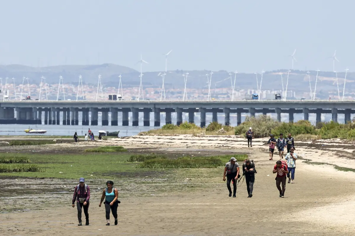 Imigrantes apanhavam amêijoa cuja origem era depois falsificada