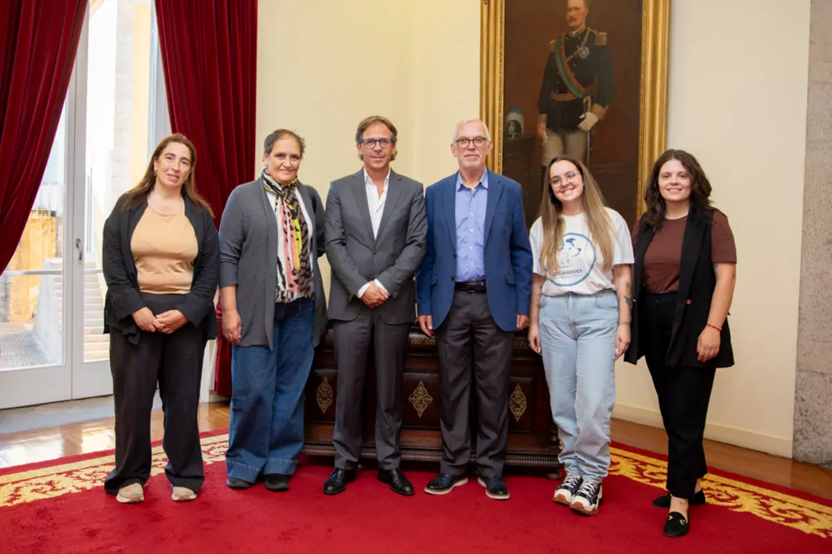 Acordos visam ajudar as associações de proteção animal a desenvolverem as suas atividades