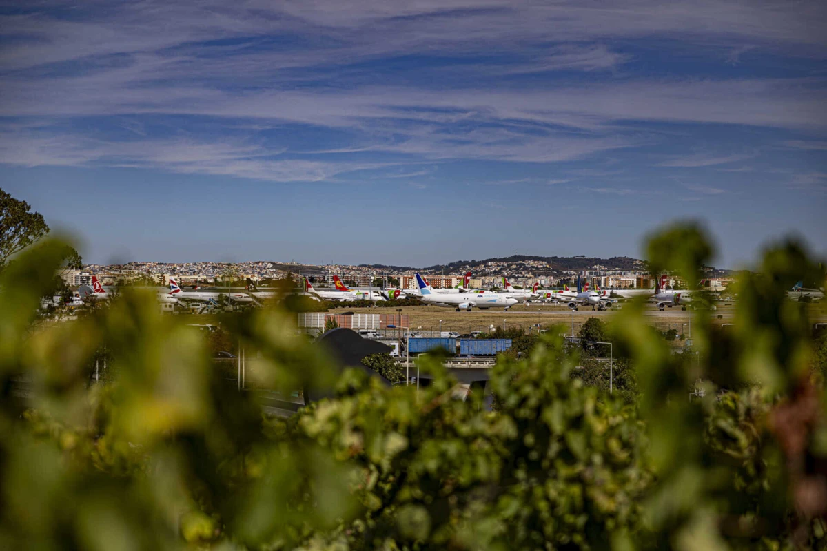 Imagem de contexto do artigo Lisboa quer converter terrenos do Humberto Delgado num "grande pulmão verde"
