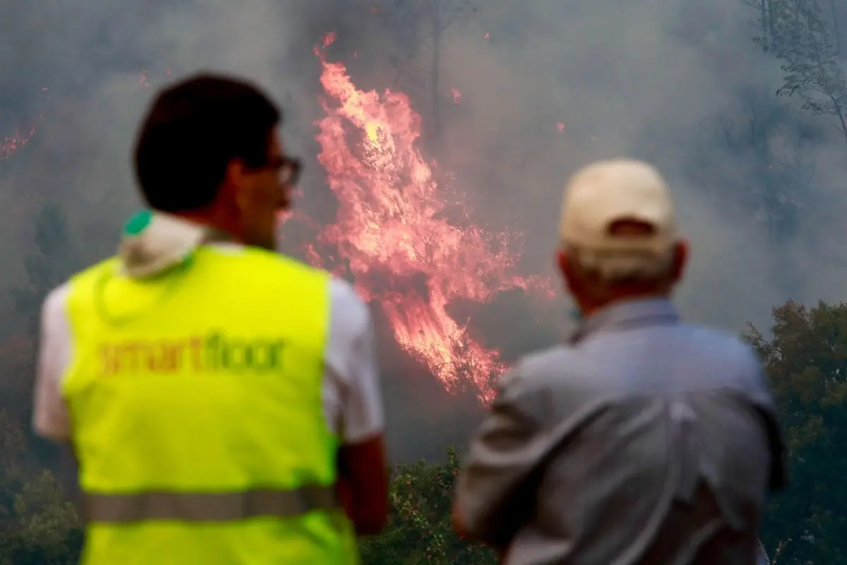 A Câmara do Fundão disponibilizou apoio social e psicológico aos seus munícipes