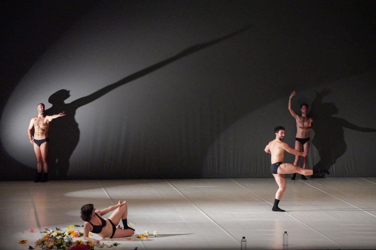 "Graces" no Centro Cultural Vila Flor