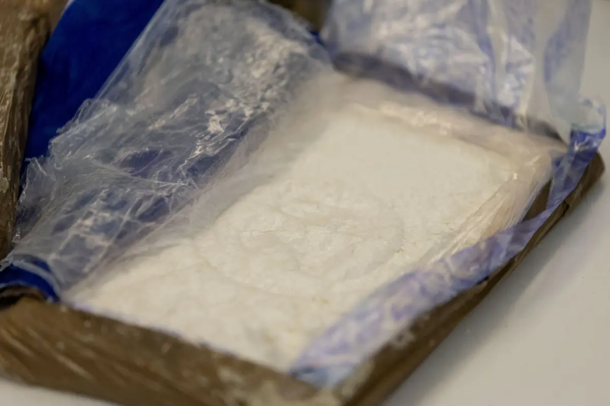 Foram apreendidos vários tipos de drogas