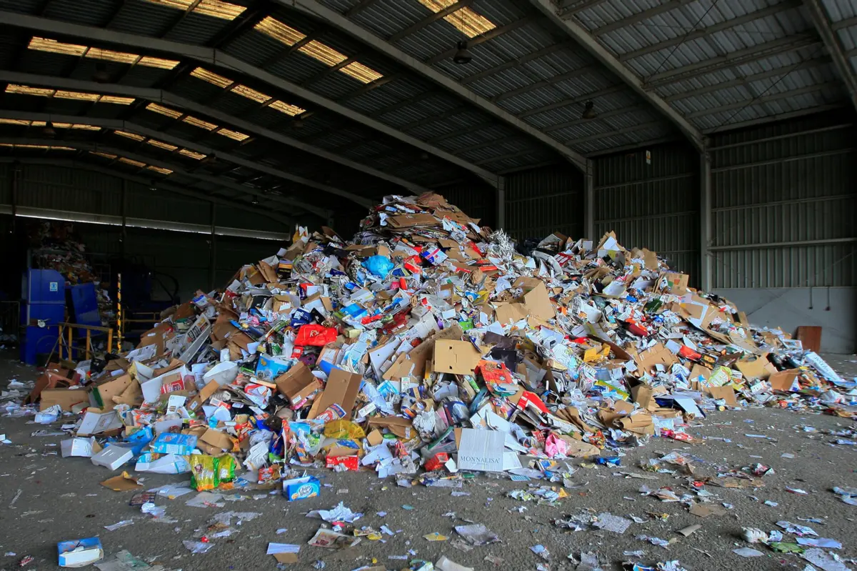 Imagem de contexto do artigo São João da Madeira começa a medir lixo em setembro para cobrar em proporção