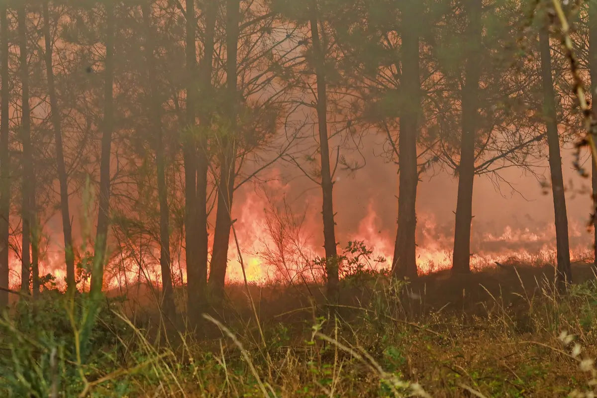 O detido será presente a tribunal para determinação das medidas de coação