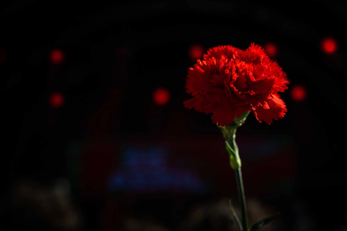 A sessão solene começa às 10 horas, com o hastear da bandeira e hino nacional