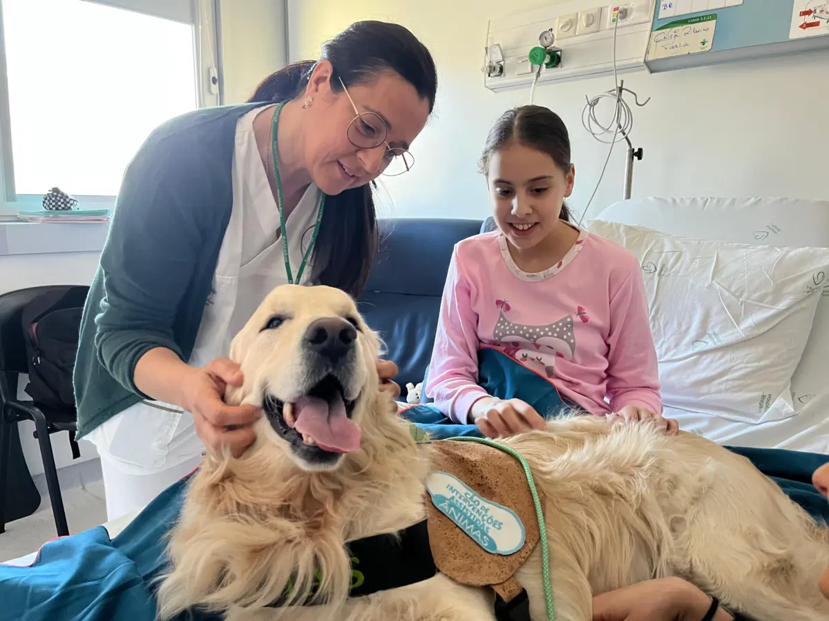 Imagem de contexto do artigo Cão Léo faz visitas semanais a crianças internadas em Braga