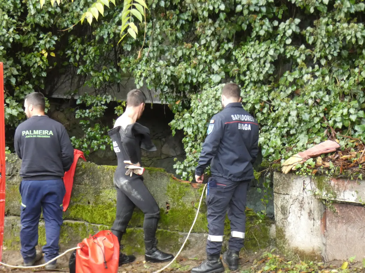 Sapadores Bombeiros de Braga salvaram gato de um poço em Palmeira