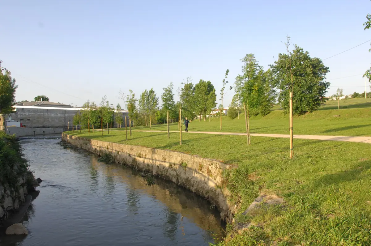 Margens do rio estão limpas após abate de árvores