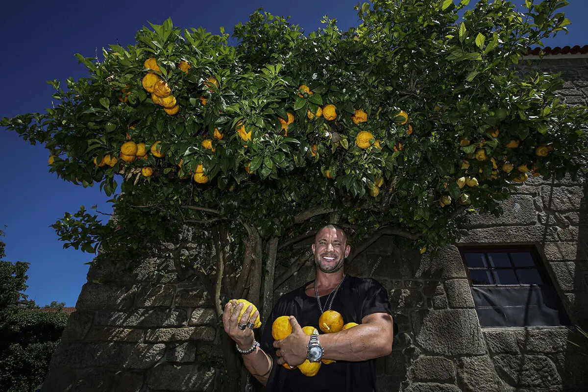 Imagem de contexto do artigo Os refúgios dos famosos longe da televisão