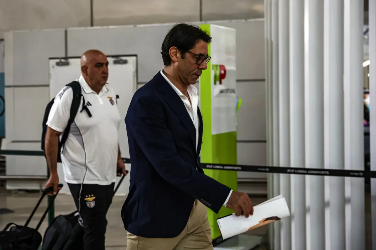 Rui Costa, presidente do Benfica