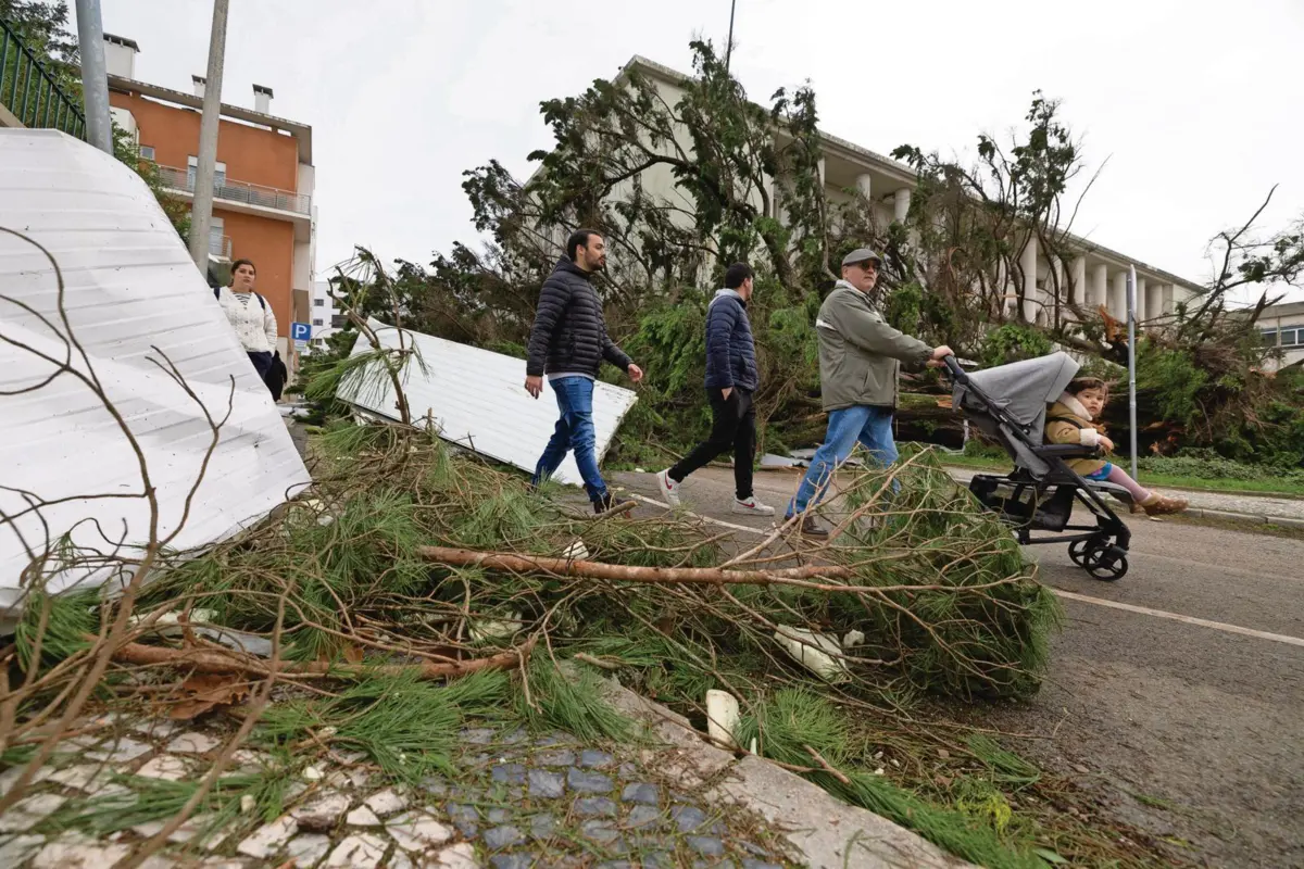 Danos causados junto ao Tribunal de Leiria